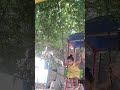 #babyshorts #girl #beautiful #viral #viralvideo #viralshorts #fypシ #fypシ゚viral #fyp #love