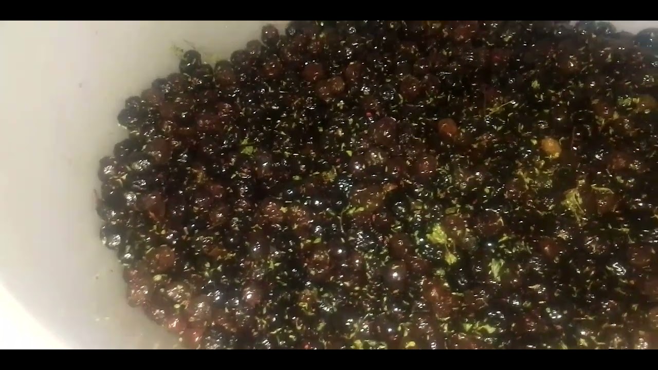 Preparazione delle olive nere preparate 