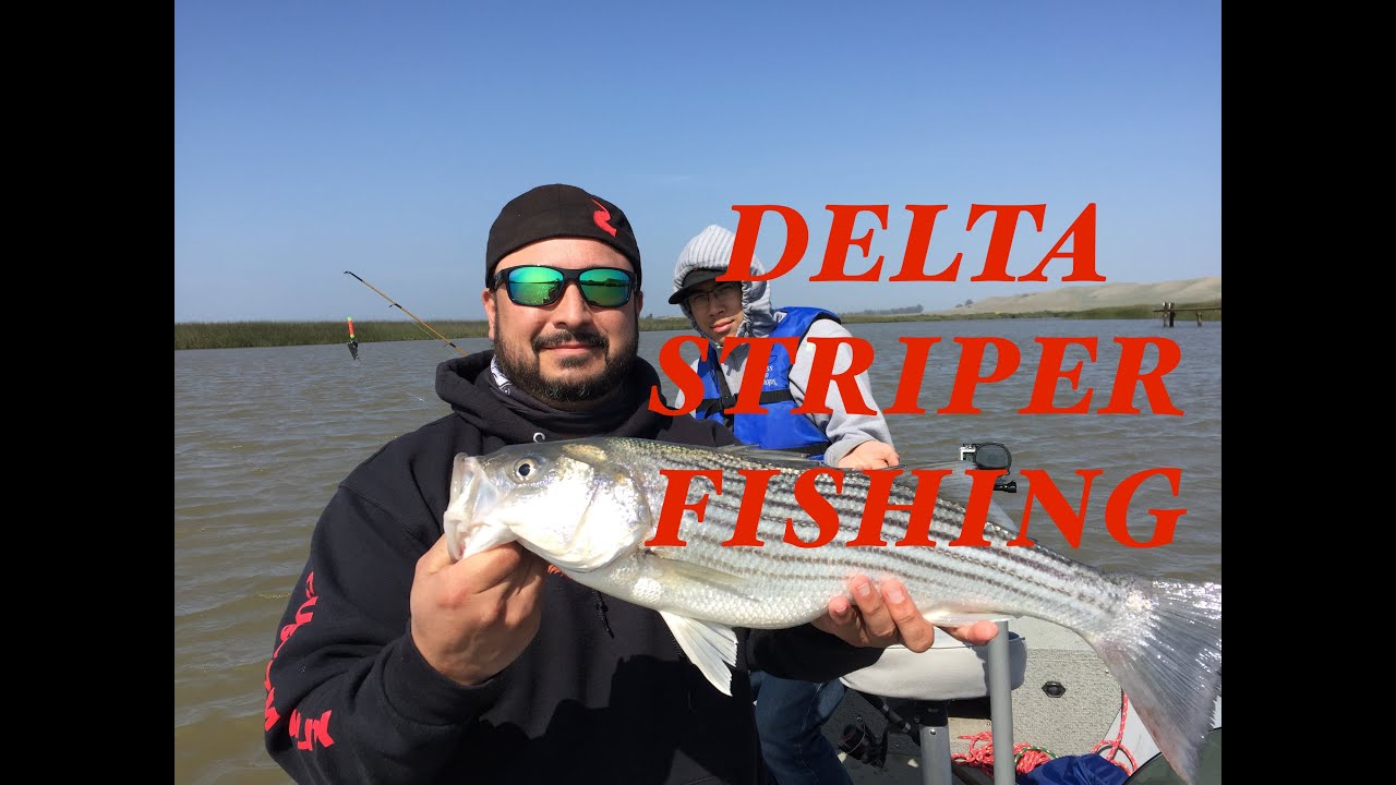 Delta Striper fishing 4/23/15 YouTube