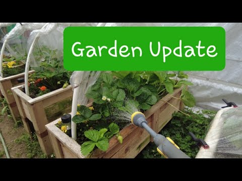 Garden Update