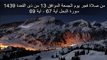 سورة النحل آية 67 - آية 69