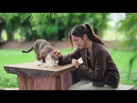 My Healing Home | Amazing Thailand