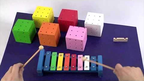 MULTIXYLOPHONIOM...