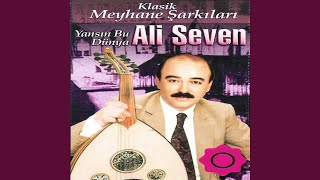 Hani Söz Vermiştin