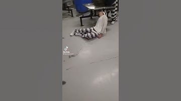 Thumbnail of When Prisoners Get iPhones in Jail