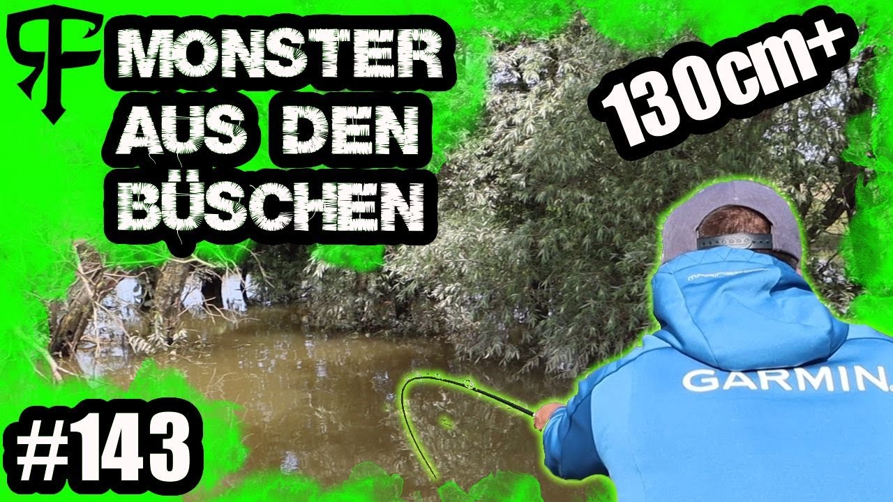 Щука Livebite 130см+ - ловля речных монстров при высокой воде в кустах