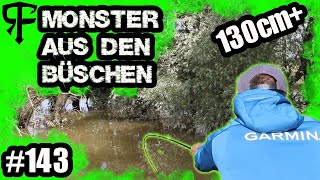 Livebiss 130cm+ Hecht -  Angeln auf Flussmonster bei Hochwasser in den Büschen