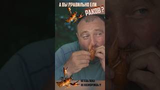 Вы Уху Ели?! А Раков Умеете Есть?!