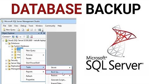 SQL Server Database Backup || How to BACKUP DATABASES in SQL Server Management Studio