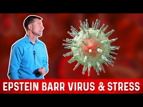 Epstein Barr Virus (EBV) & Its Main Trigger: STRESS