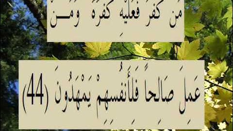 القران الكريم سورة الروم الأية 44.wmv