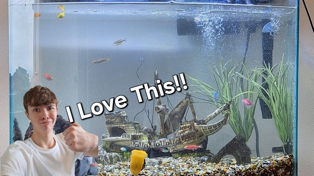 I Got A New Aquarium!! And New Fish!! (Puting Fish Into New Aquarium ...