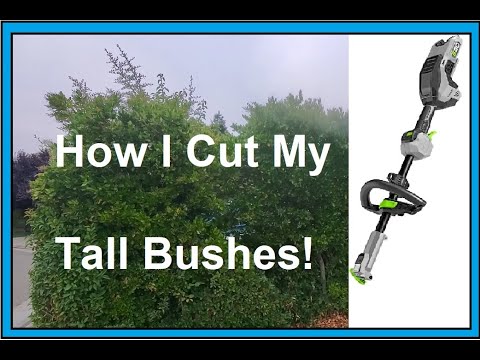 How to trim tall bushes and trees, Ego Hedge Trimmer - YouTube