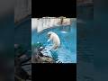 Most dangerous zoo of China #facts #h2facts #shorts