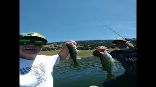 Large mouth bass fishing in northern california