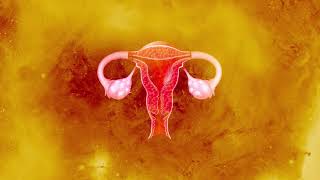 Menstrual Morphic Field - Cures Menopause Pain Cramp Amenorrhea Oligomenorrhea Dysmenorrhea etc.