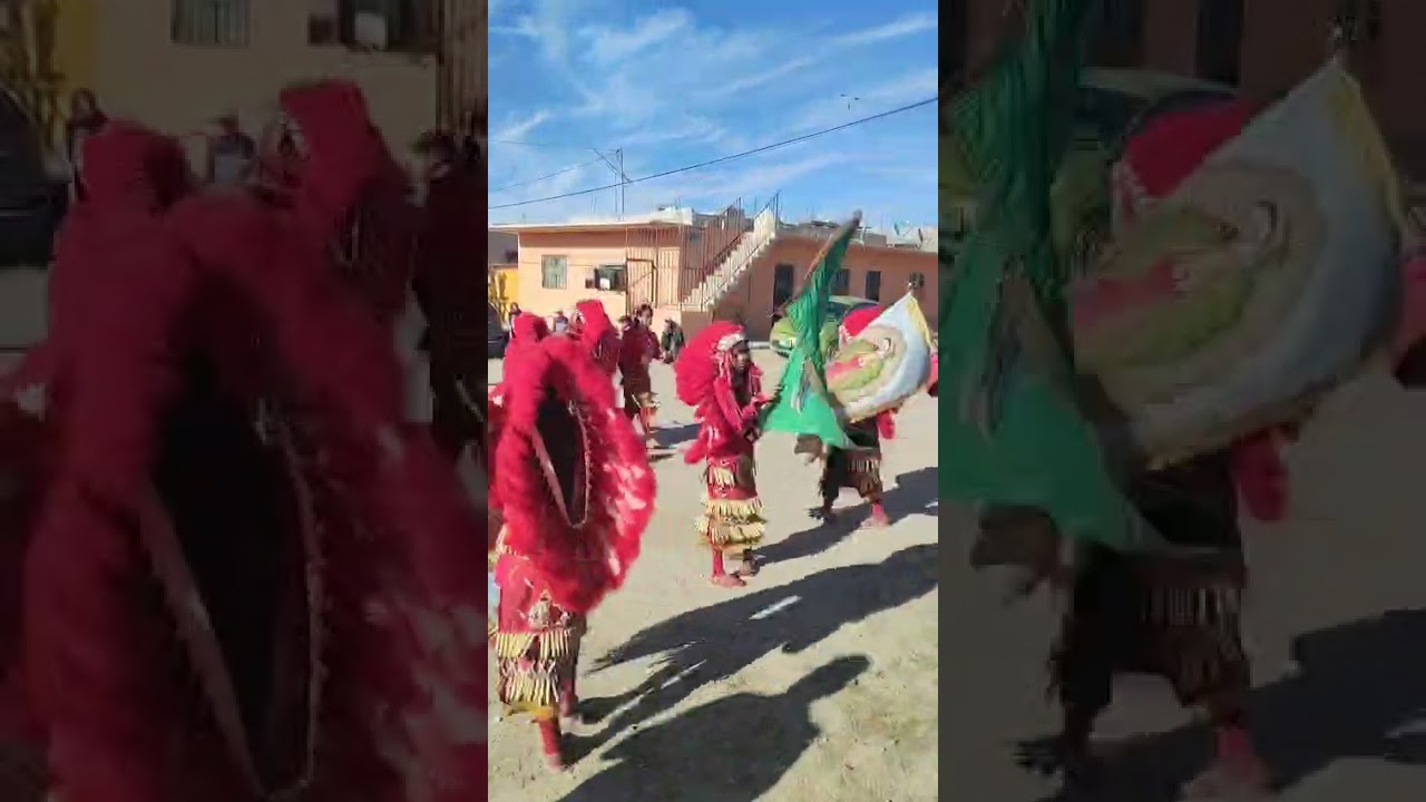 DGDST 15 /febrero/2026