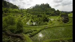 Download Lagu The Starfighters spelen Sarinande.WMV MP3