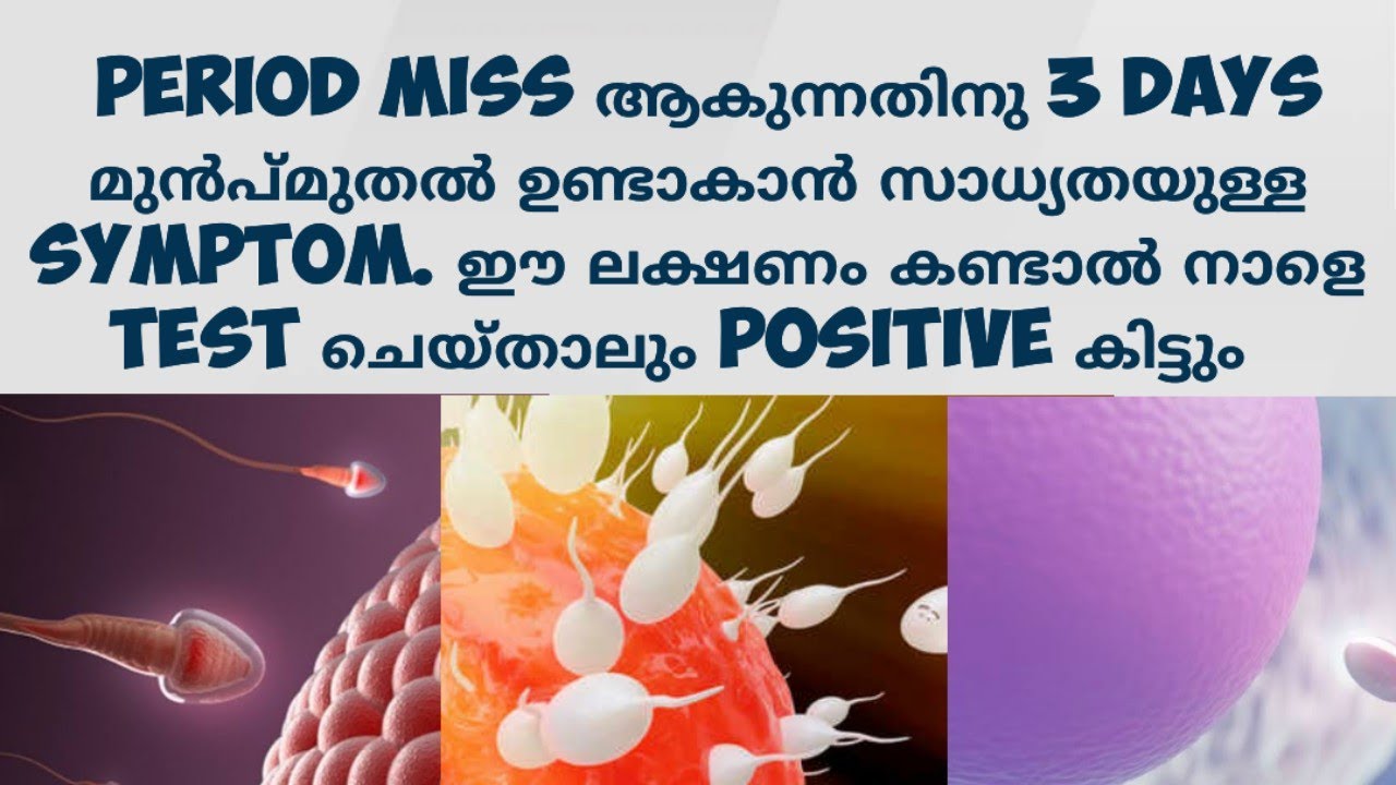 Early Pregnancy Symptoms before Missed Period Deechus world Malayalam