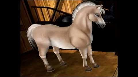 Q&A Video ~Michelle Kittenhome Questions~ SSO~