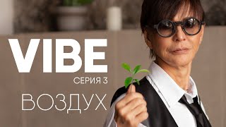 Серия 3 VIBE