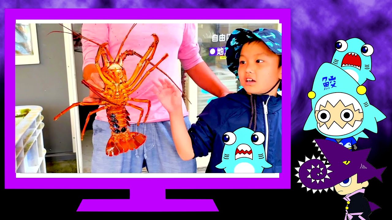 【サメニンのアニメ】2021年に出会ったやばい生き物ランキング！