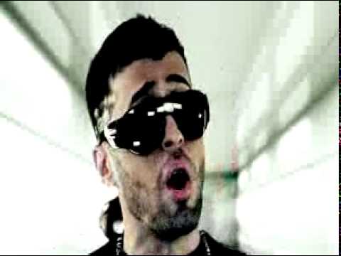 dalmata siguelo dalmata siguelo