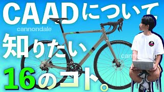 サイパラで一番売れてる自転車】 
