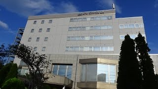 Hotel Montagne Matsumoto Review