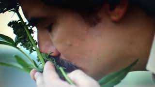 escobar loves weed