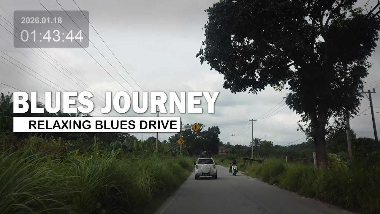 Relaxing Blues Drive | Scenic Road Views
