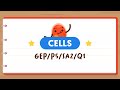 Understanding Cells and Their Functions