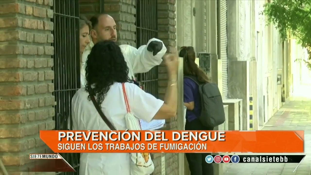 Campaña contra el Dengue