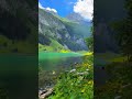 🏞️🥰#🍁🏞️#☘️🍃🌿💕