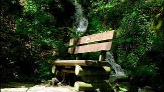 Mentahan Video Sungai part3 I Sinematik Video aesthetic #sinematik #estetik #mentahanvideo