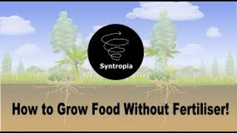 How to grow food without fertiliser using Syntropic Farming.