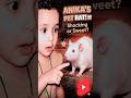 Anika Playing With Cute White Rat 🐭🤍 So Fearless &amp; Adorable #shorts #cute #anika