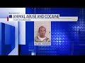 Cocaine bust turns into animal abuse case in Bay County