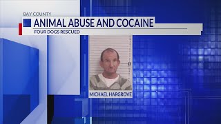 Cocaine bust turns into animal abuse case in Bay County