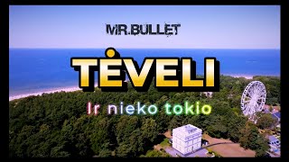 Mr.Bullet - TĖVELI (Premjera, 2024/06/06