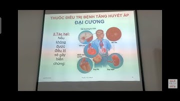Hóa Dược 2: Bài: THUỐC TIM MẠCH (1)