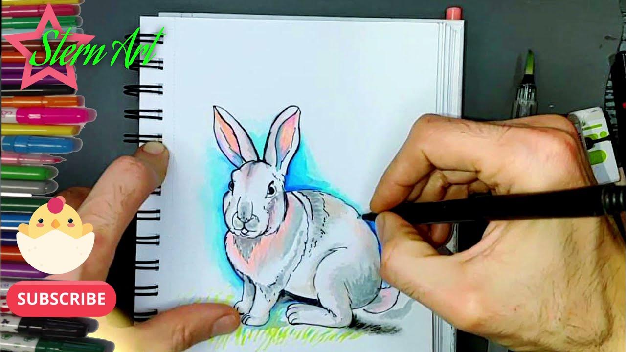 hase Malen Für kinder . .Hase zeichnen schritt für schritt für anfänger