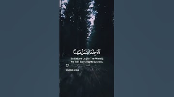 تلاوة مؤثرة ومبكية بصوت القارئ شريف مصطفى [سورة السجدة ] #quran #قران_كريم #حالات_واتس