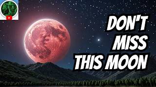 Strawberry Moon 2025: The Rarest Full Moon in Decades! 🌕🍓