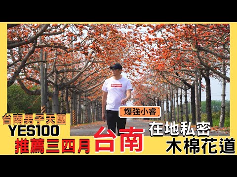 必去景點 三四月份台南最紅的私密景點 將軍木棉花道 台南木棉花 木棉花季22 台南景點 台南賞花 白河林初埤木棉花道 苓子寮木棉花道 花旗木步道 Yes100 Youtube