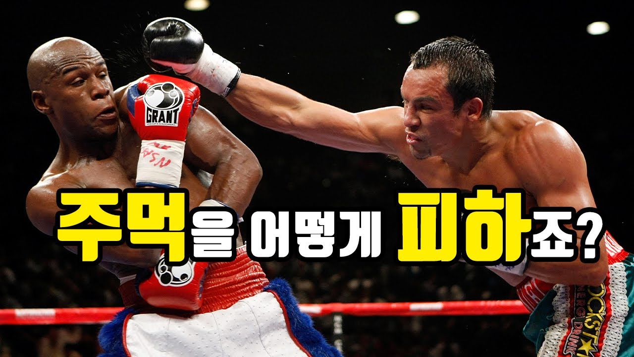 복서가 주먹을 피하는 법