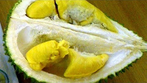 [LIVE Demo] 3 Easy Tips On How To Choose The Best Mao Shan Wang Durian