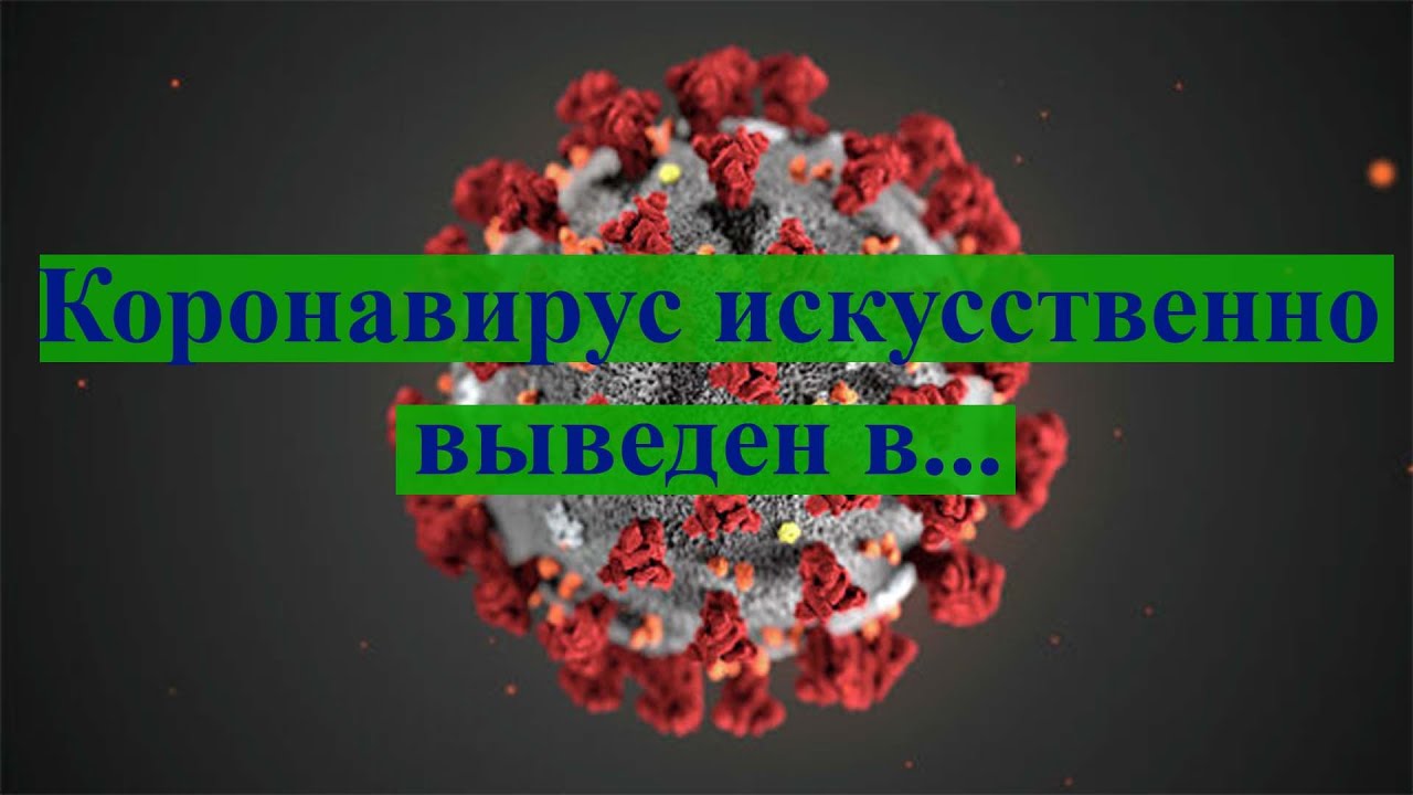 Коронавирус выведен искусственно.