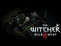 The Witcher 3 - Wild Hunt (PS5 Todesmarsch) ⚔️ #097 - Eine VORLIEBE für BESOFFENE