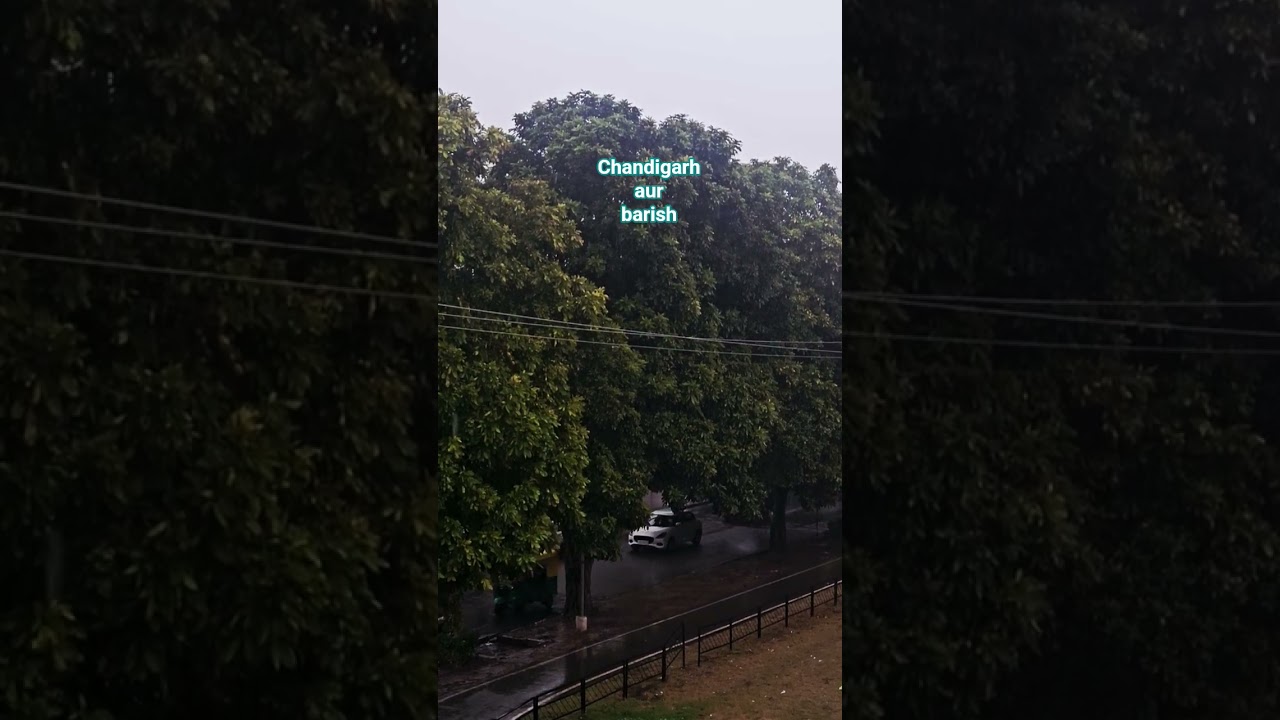 बेमौसम बरसात 